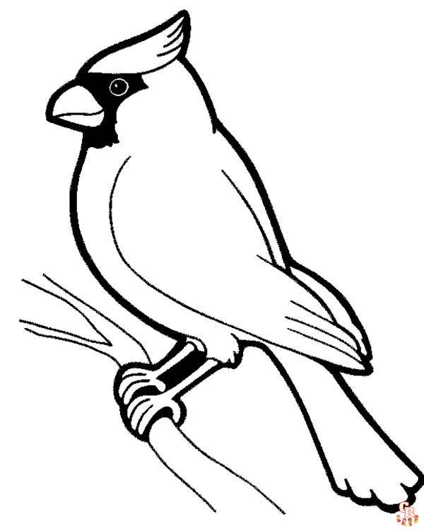 33 Stunning Northern Cardinal Coloring Pages Printable 31