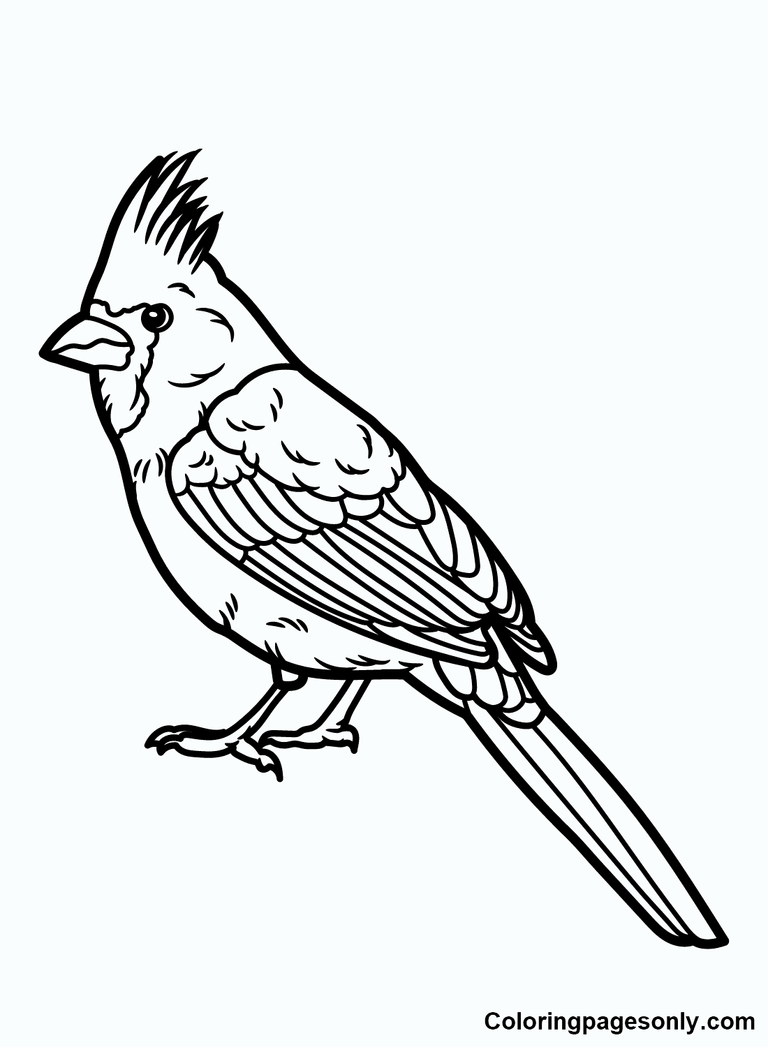 33 Stunning Northern Cardinal Coloring Pages Printable 7