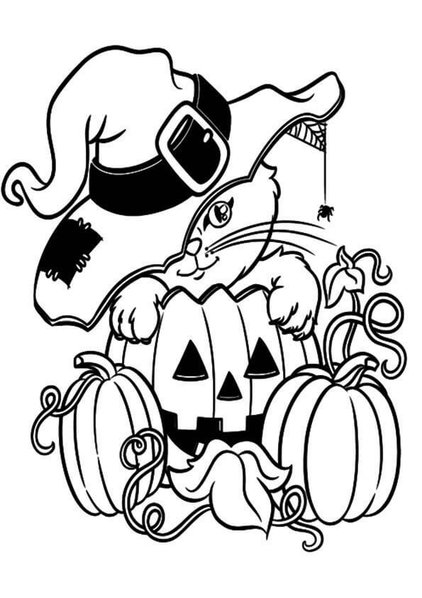 34 Halloween Cat Coloring Pages Printable 27