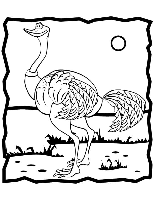 34 Ostrich Coloring Pages Printable 10