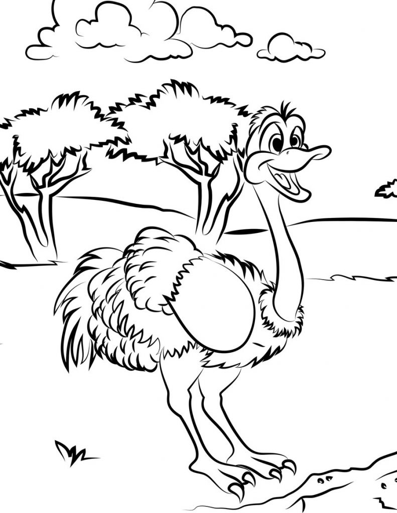 34 Ostrich Coloring Pages Printable 11