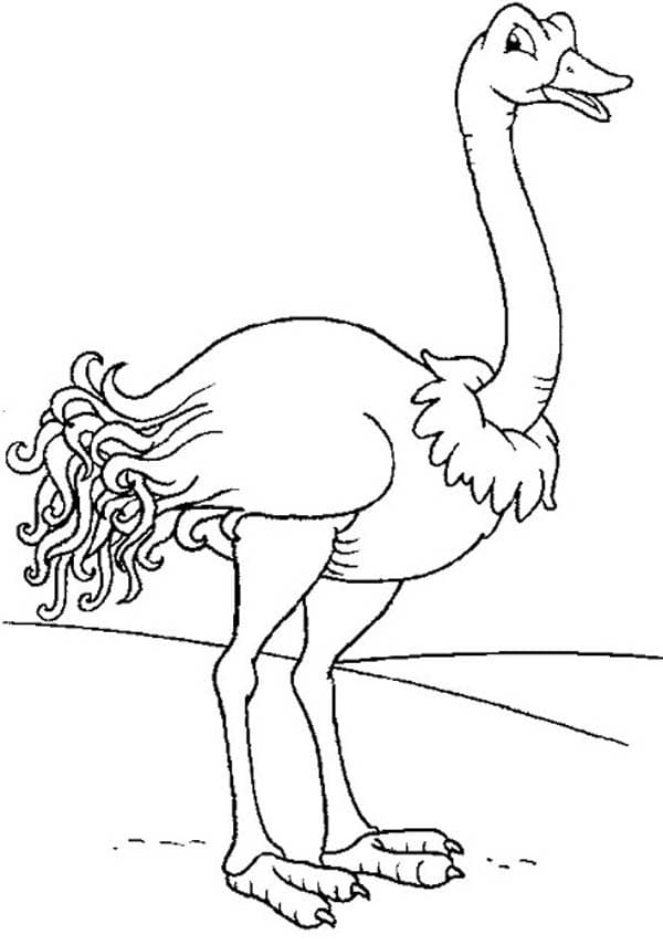 34 Ostrich Coloring Pages Printable 13