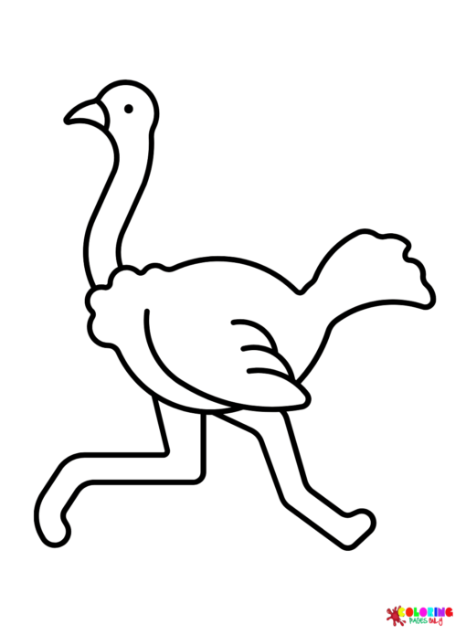 34 Ostrich Coloring Pages Printable 14