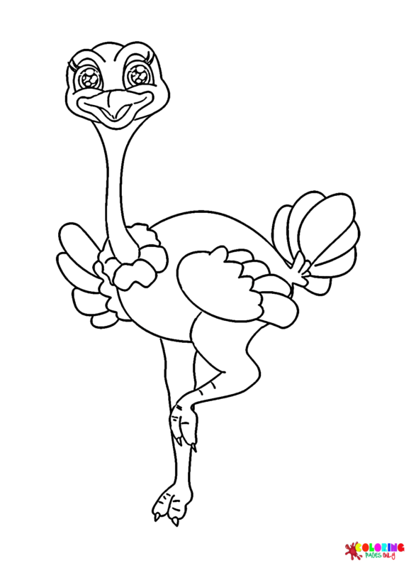 34 Ostrich Coloring Pages Printable 15