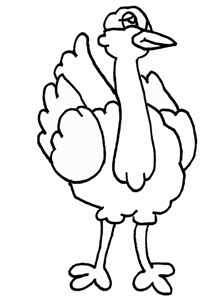 34 Ostrich Coloring Pages Printable 17