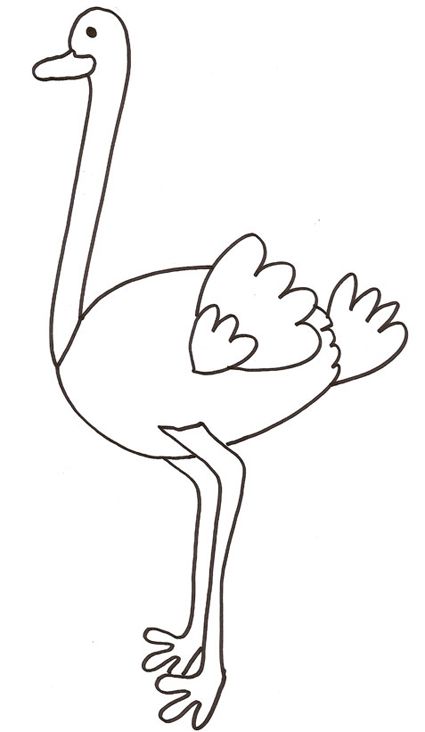 34 Ostrich Coloring Pages Printable 19