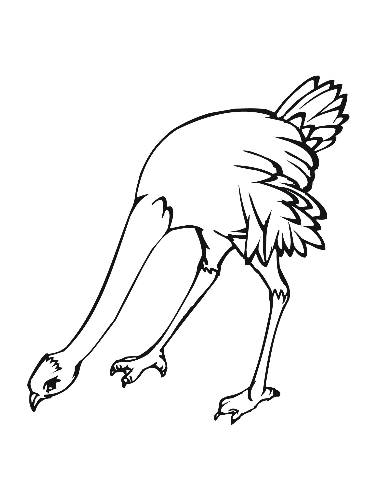 34 Ostrich Coloring Pages Printable 2