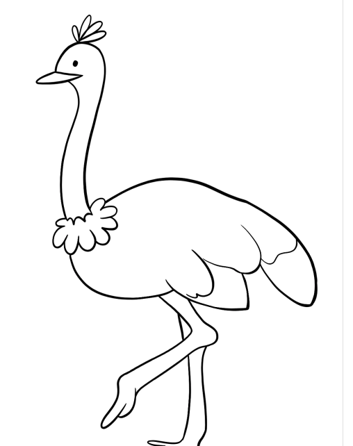 34 Ostrich Coloring Pages Printable 25