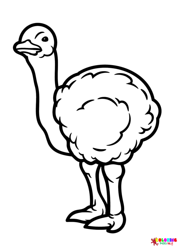 34 Ostrich Coloring Pages Printable 27