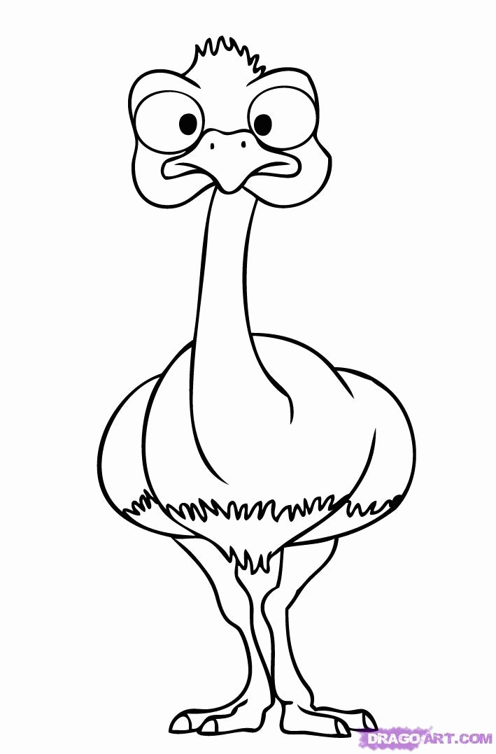 34 Ostrich Coloring Pages Printable 29