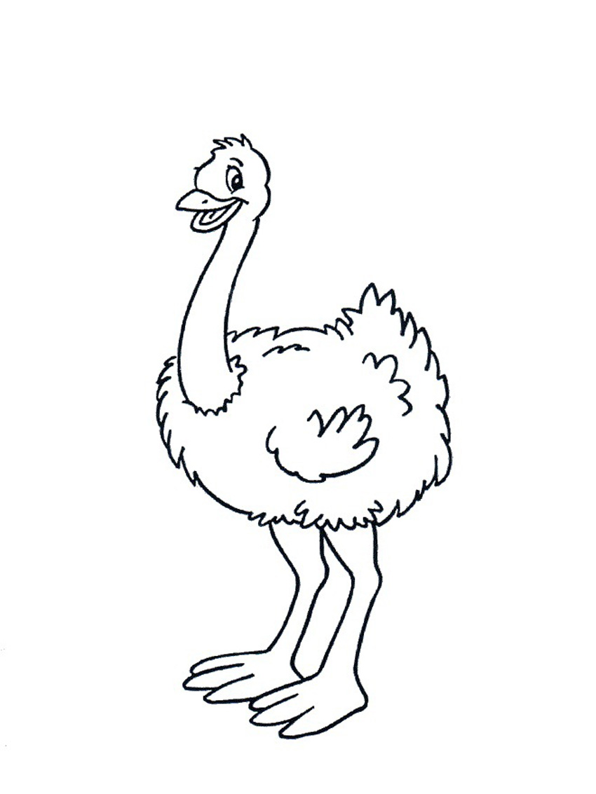 34 Ostrich Coloring Pages Printable 3