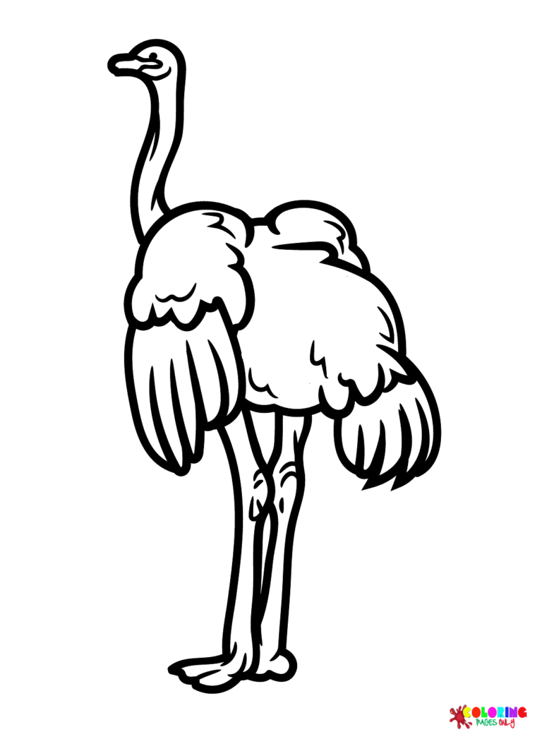 34 Ostrich Coloring Pages Printable 30