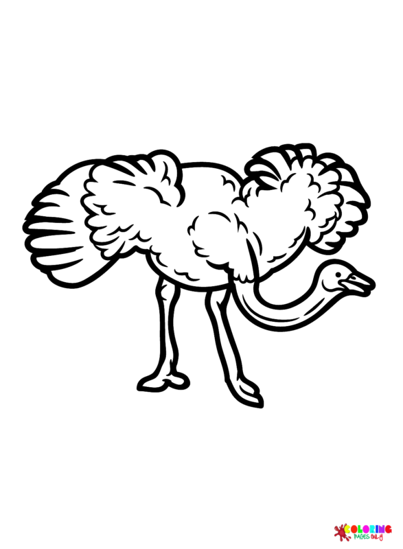 34 Ostrich Coloring Pages Printable 32