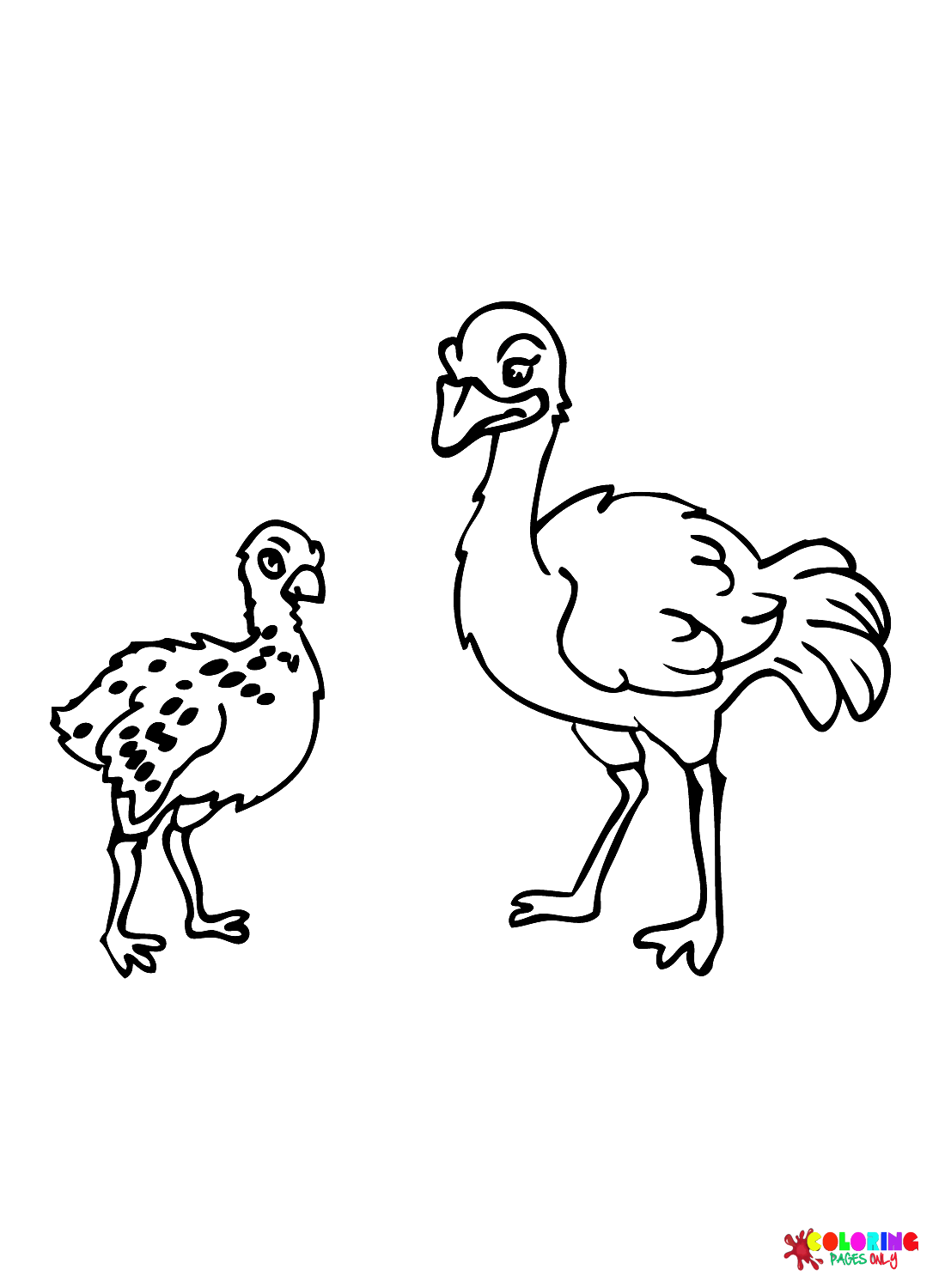 34 Ostrich Coloring Pages Printable 33