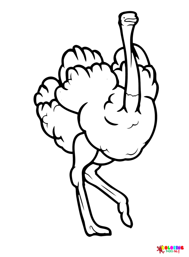 34 Ostrich Coloring Pages Printable 8