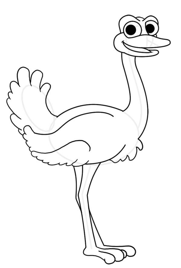 34 Ostrich Coloring Pages Printable 9