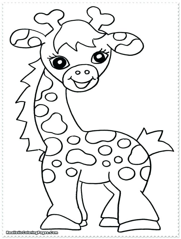 35 Cute Jungle Animal Coloring Pages Printable 12