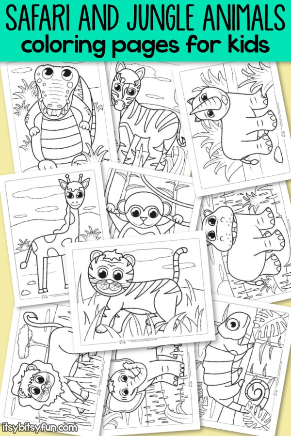 35 Cute Jungle Animal Coloring Pages Printable 14