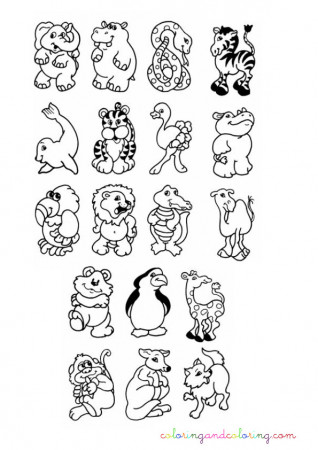 35 Cute Jungle Animal Coloring Pages Printable 18