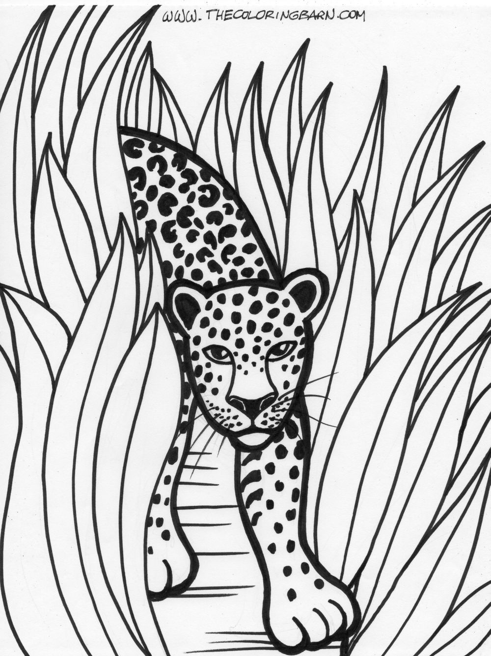 35 Cute Jungle Animal Coloring Pages Printable 19