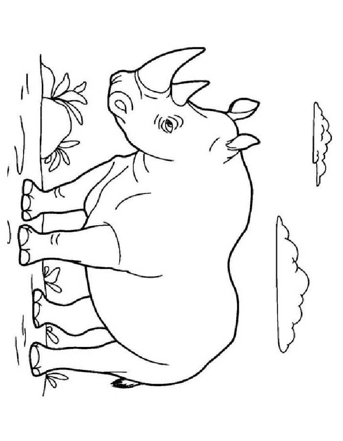 35 Cute Jungle Animal Coloring Pages Printable 23