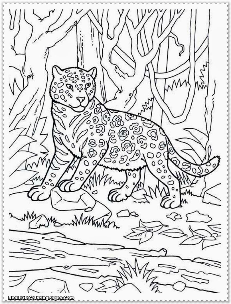 35 Cute Jungle Animal Coloring Pages Printable 29