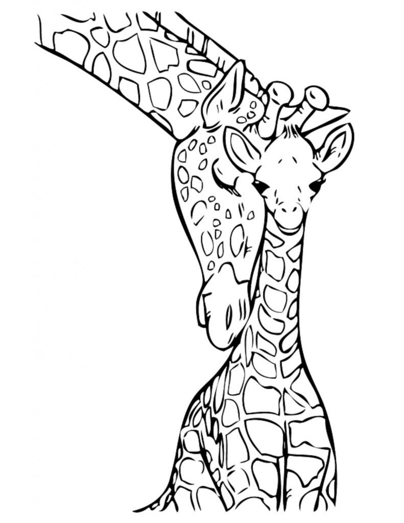 35 Cute Jungle Animal Coloring Pages Printable 31