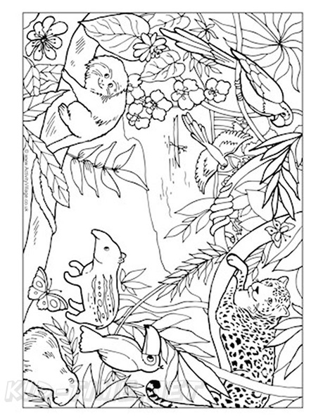 35 Cute Jungle Animal Coloring Pages Printable 34