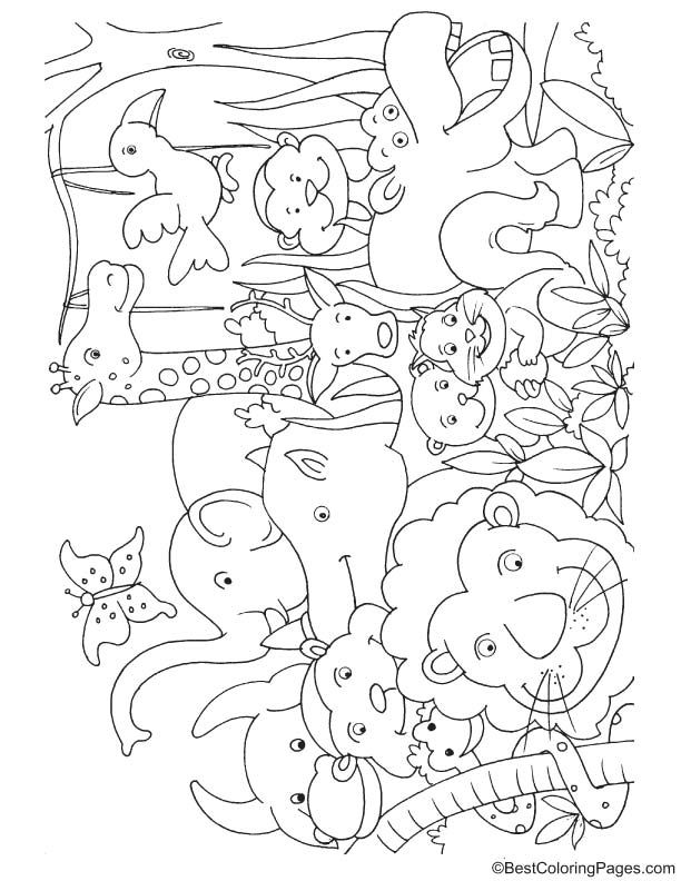 35 Cute Jungle Animal Coloring Pages Printable 5