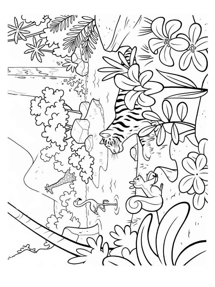 35 Cute Jungle Animal Coloring Pages Printable 8