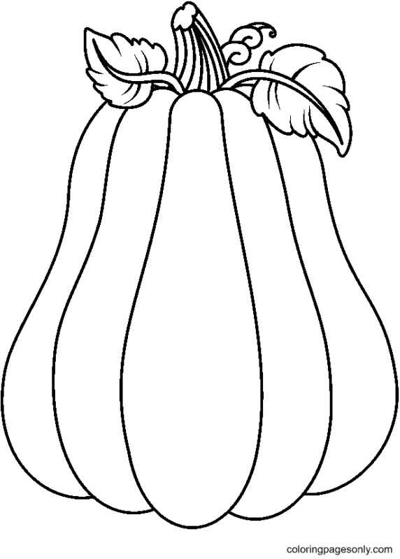 35 Festive Pumpkin Coloring Pages Printable 11