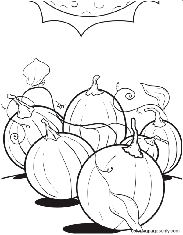 35 Festive Pumpkin Coloring Pages Printable 34