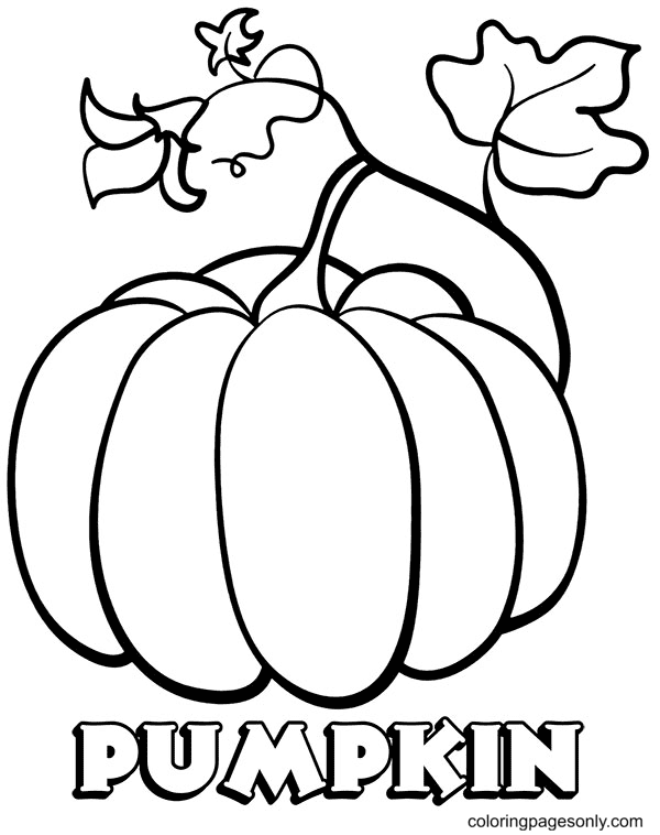 35 Festive Pumpkin Coloring Pages Printable 4