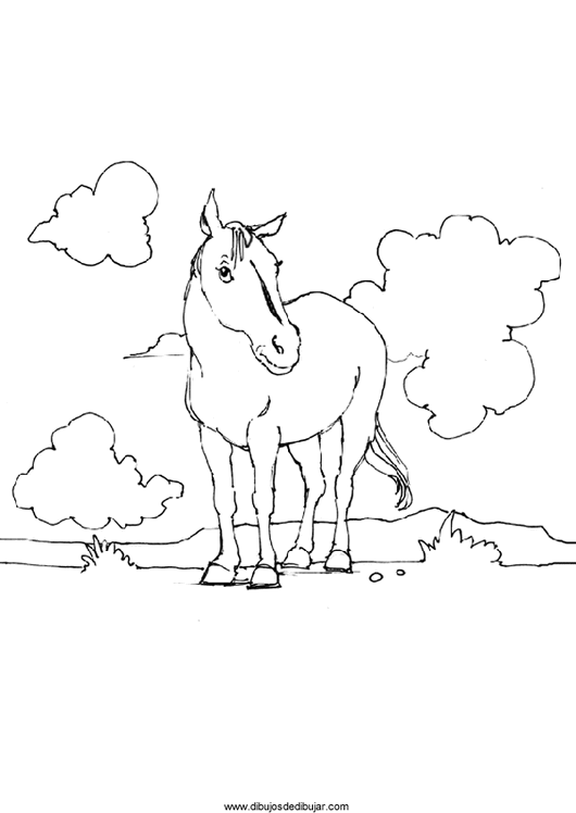 35 Fluffy Cloud Coloring Pages for Kids Printable 14