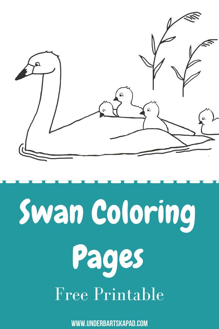 35 Fluffy Cloud Coloring Pages for Kids Printable 19