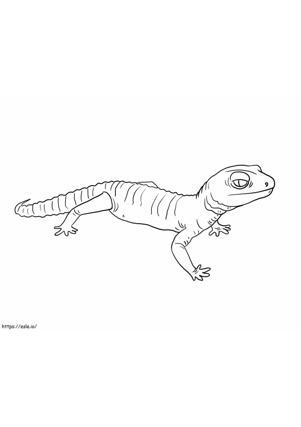 36 Charming Leopard Gecko Coloring Page Printable 14