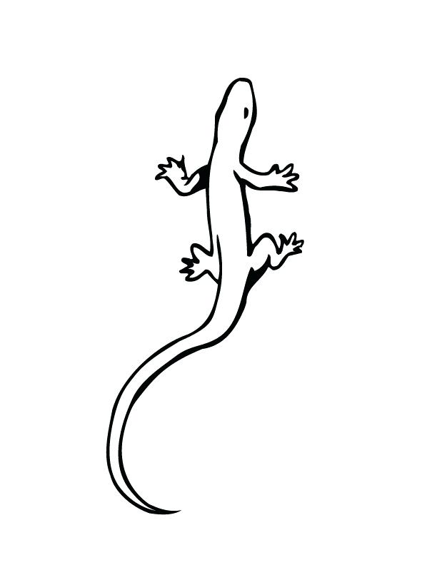 36 Charming Leopard Gecko Coloring Page Printable 18