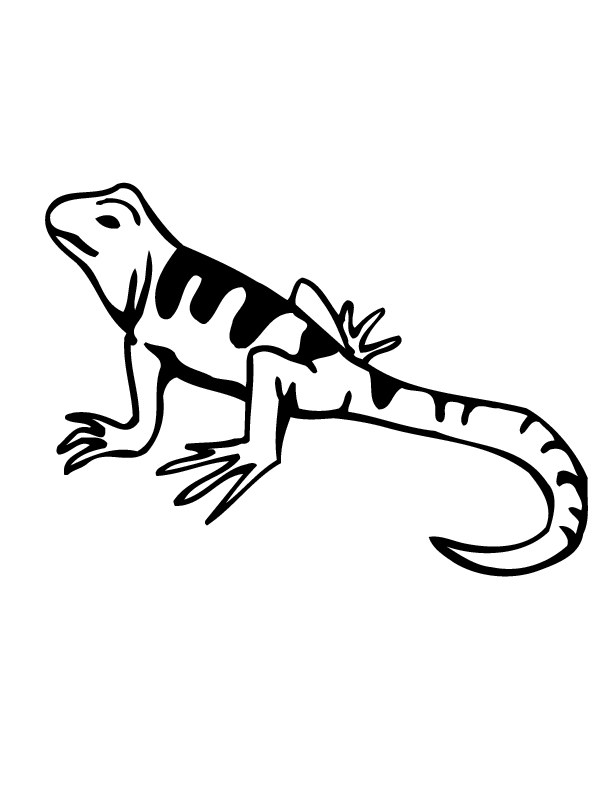 36 Charming Leopard Gecko Coloring Page Printable 19