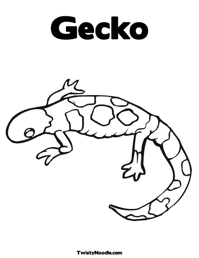 36 Charming Leopard Gecko Coloring Page Printable 25