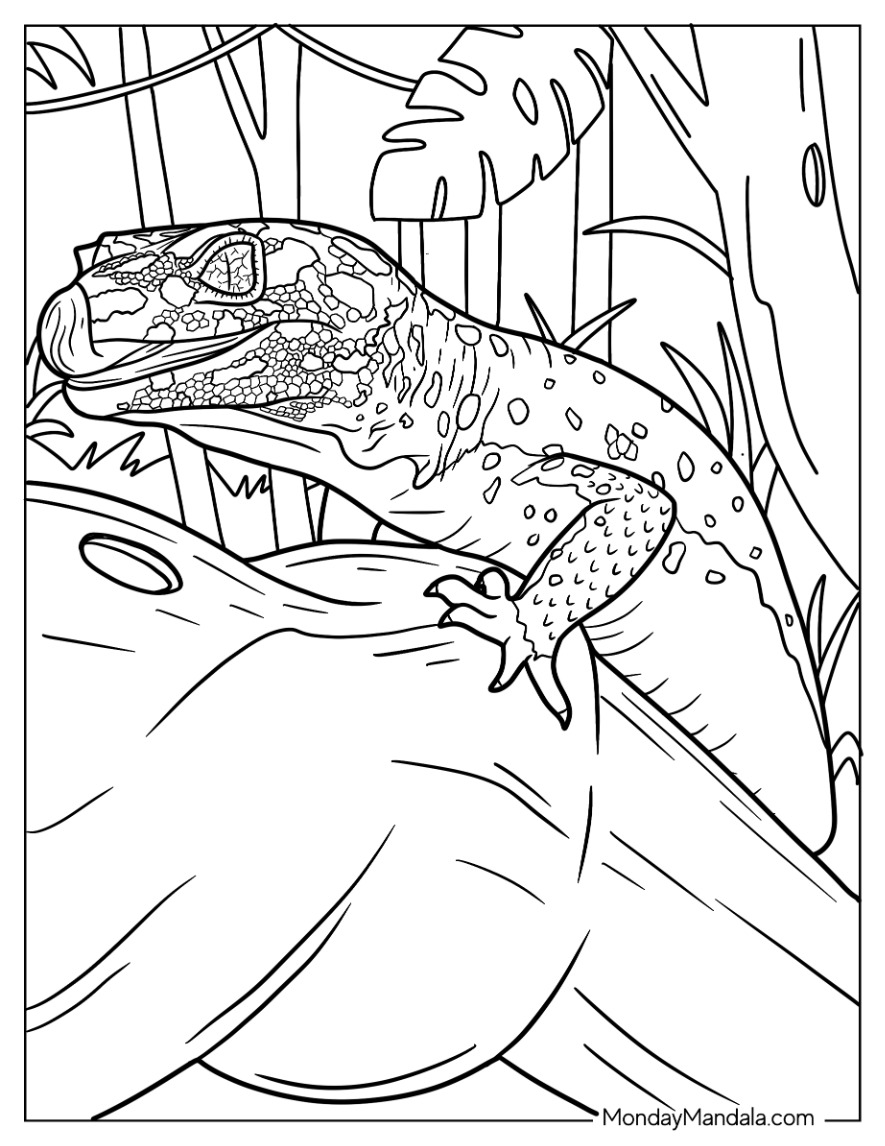 36 Charming Leopard Gecko Coloring Page Printable 27