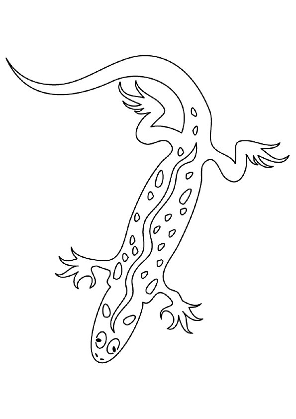 36 Charming Leopard Gecko Coloring Page Printable 28