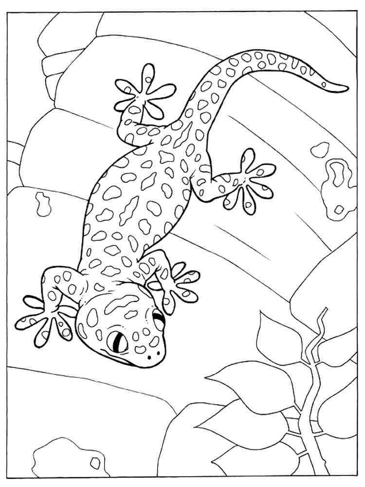 36 Charming Leopard Gecko Coloring Page Printable 29