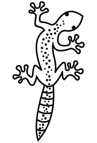 36 Charming Leopard Gecko Coloring Page Printable 32