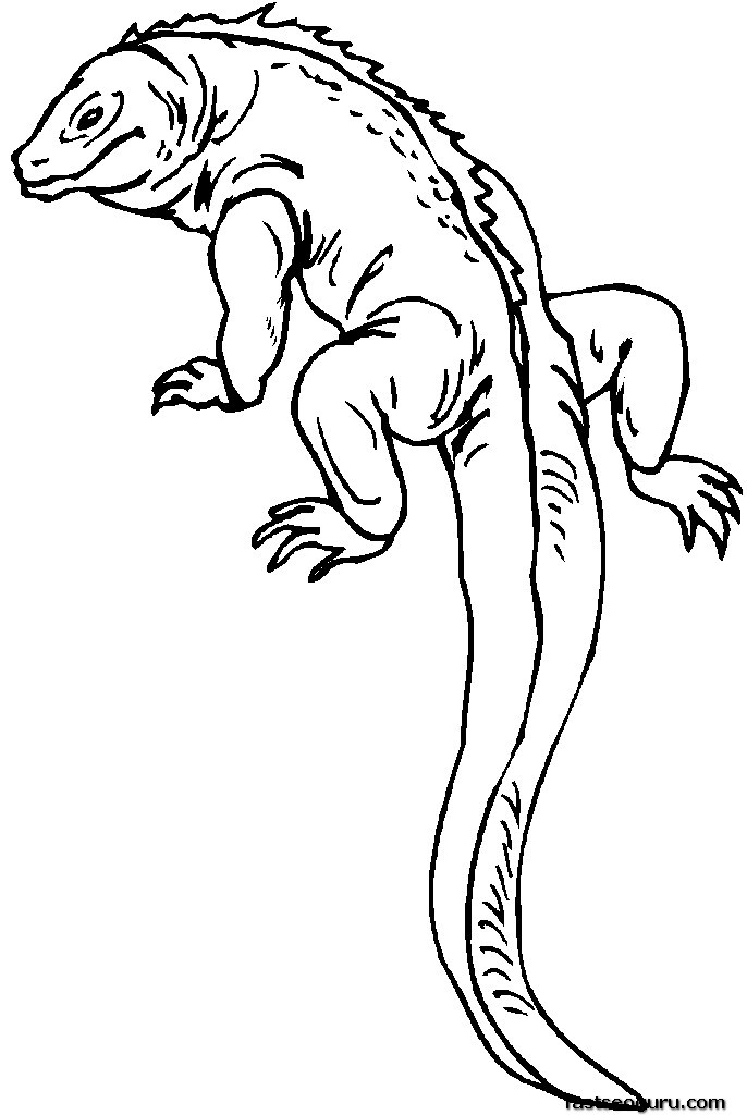 36 Charming Leopard Gecko Coloring Page Printable 33