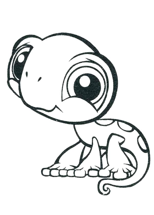 36 Charming Leopard Gecko Coloring Page Printable 35