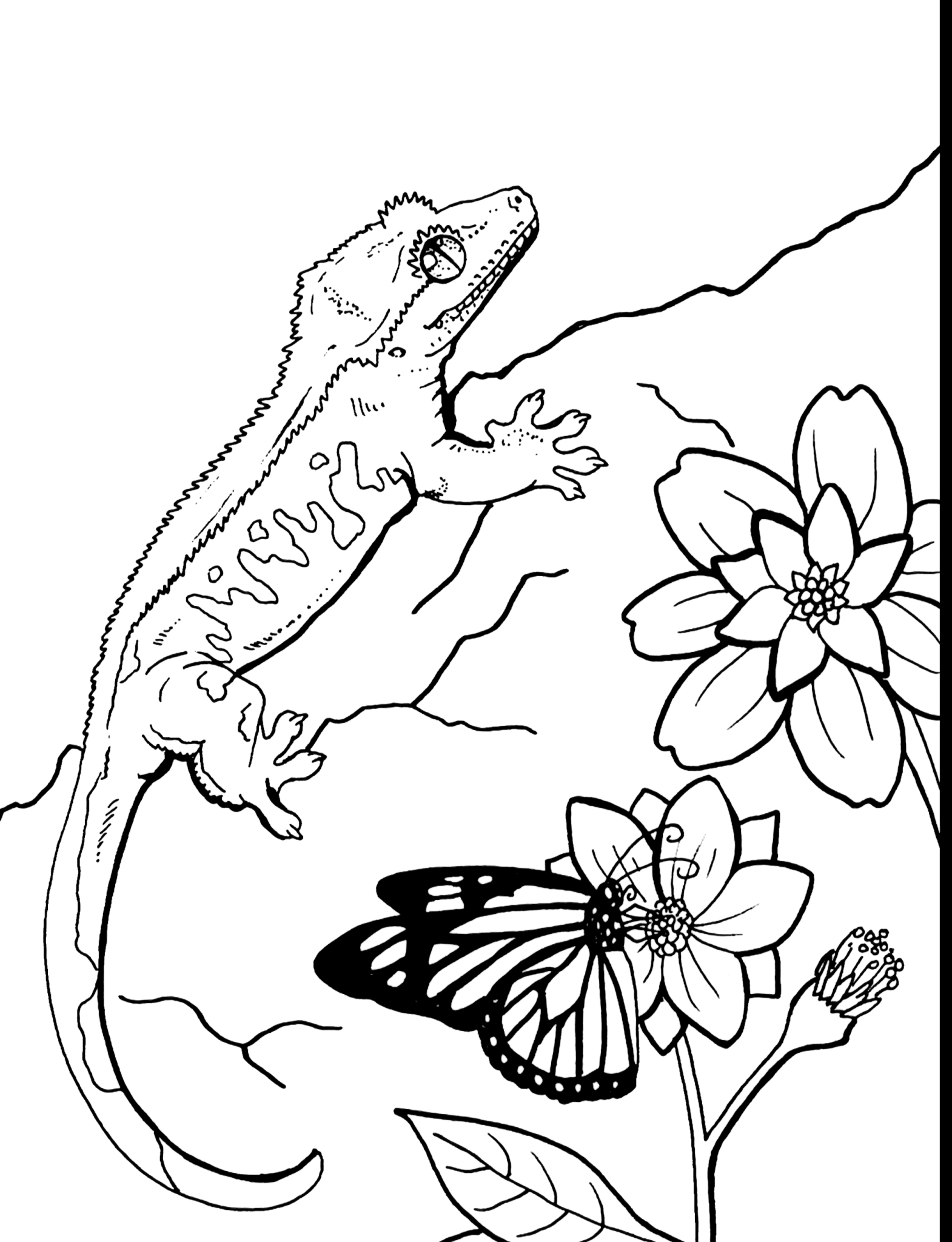 36 Charming Leopard Gecko Coloring Page Printable 5