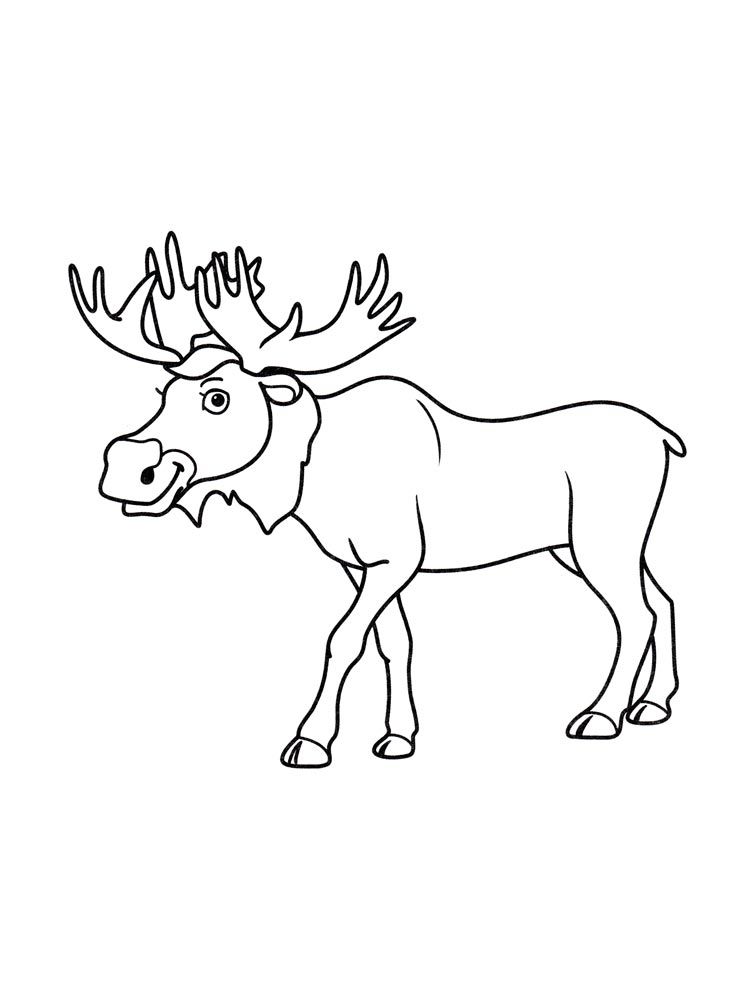 36 Majestic Elk Coloring Pages Printable 11