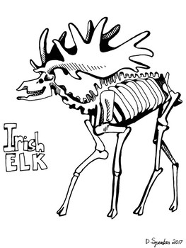 36 Majestic Elk Coloring Pages Printable 16