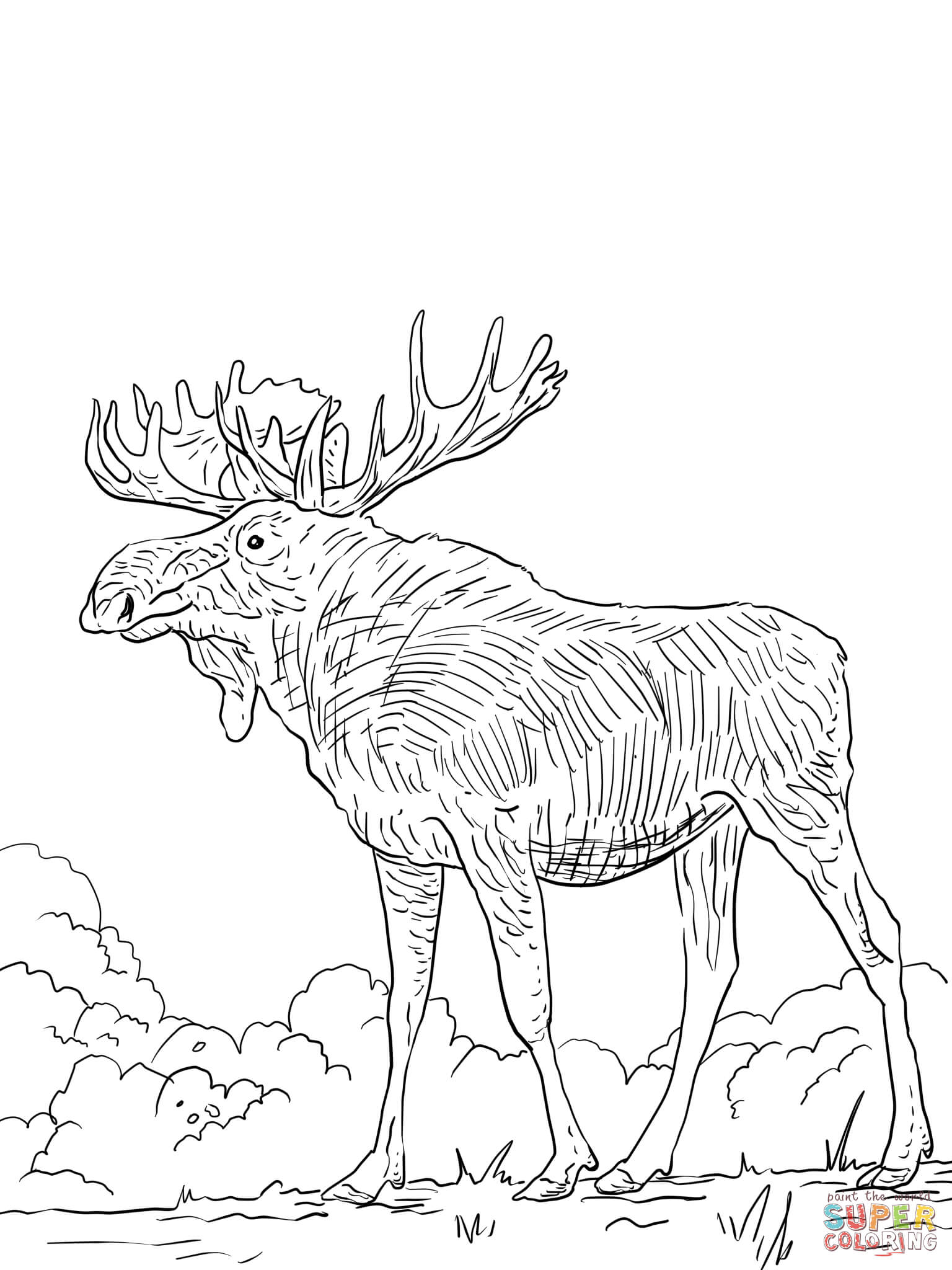 36 Majestic Elk Coloring Pages Printable 23