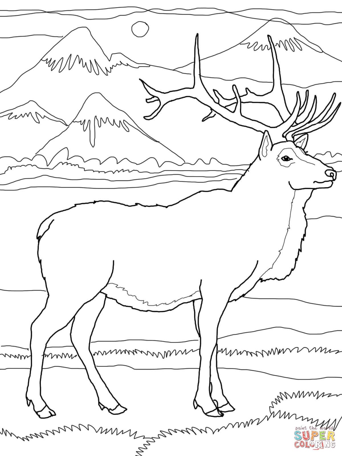 36 Majestic Elk Coloring Pages Printable 26